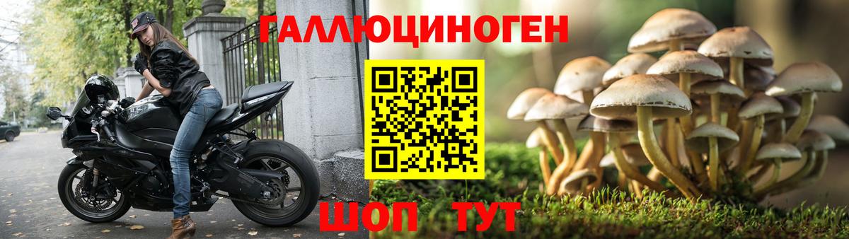 Химки  купить наркотик  Вход с VPN  Псилоцибиновые грибы Magic Shrooms 